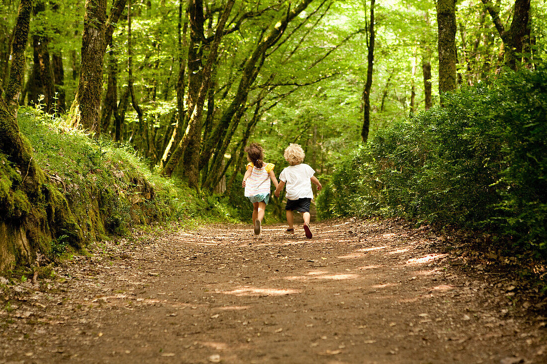 Two children on woodland path