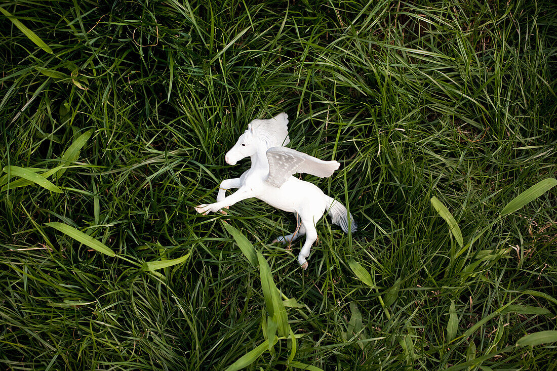 Toy unicorn on grass