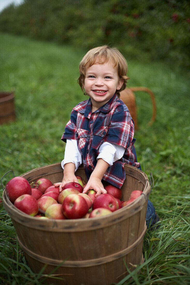 Portrait of boy with bucket of apples