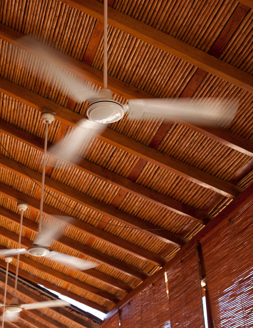 Ceiling fans