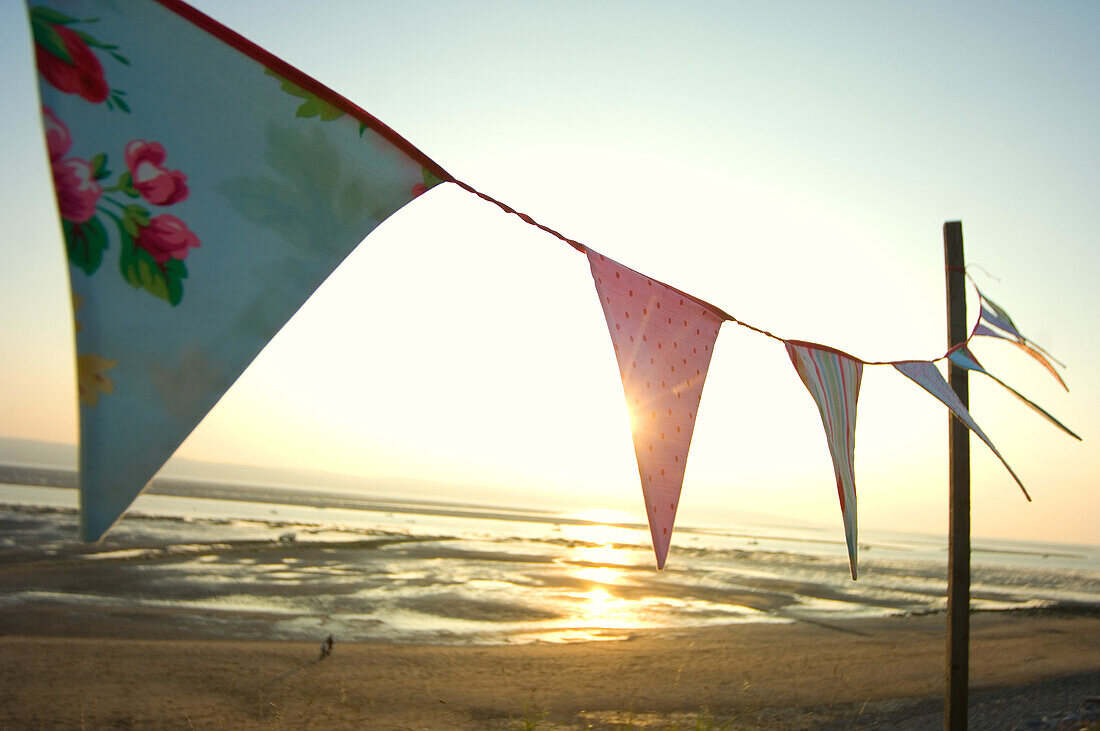 Bunting at seaside