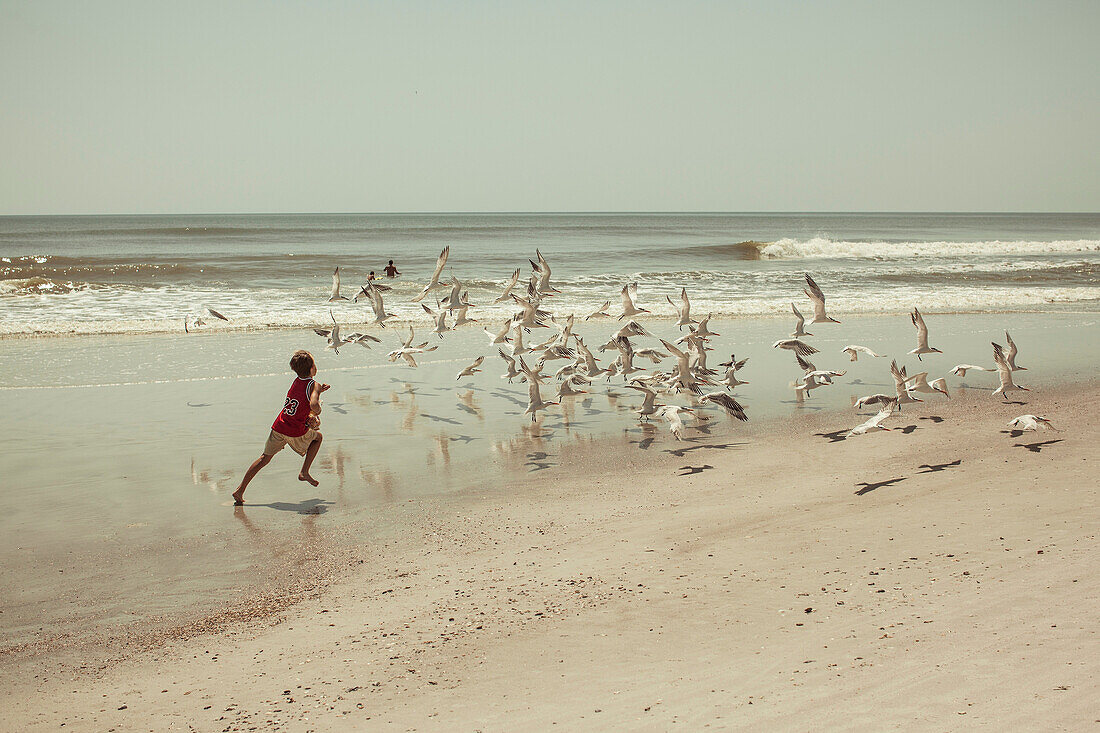 Boys running on beach with gulls