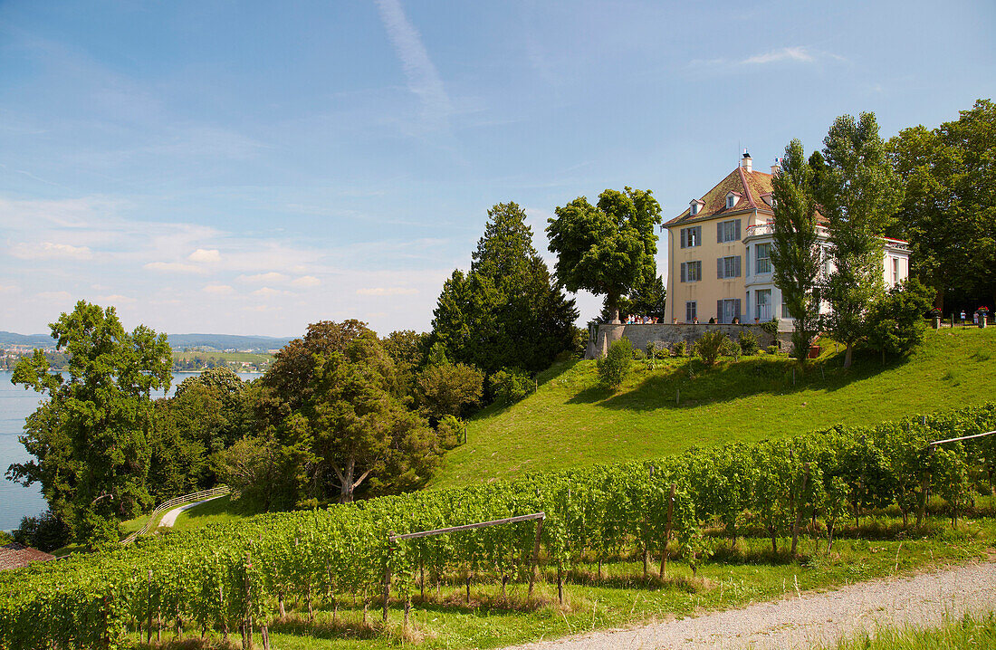 Schloß Arenenberg, erbaut 1540-46, über Weinberg am Untersee, Bodensee, Kanton Thurgau, Schweiz, Europa