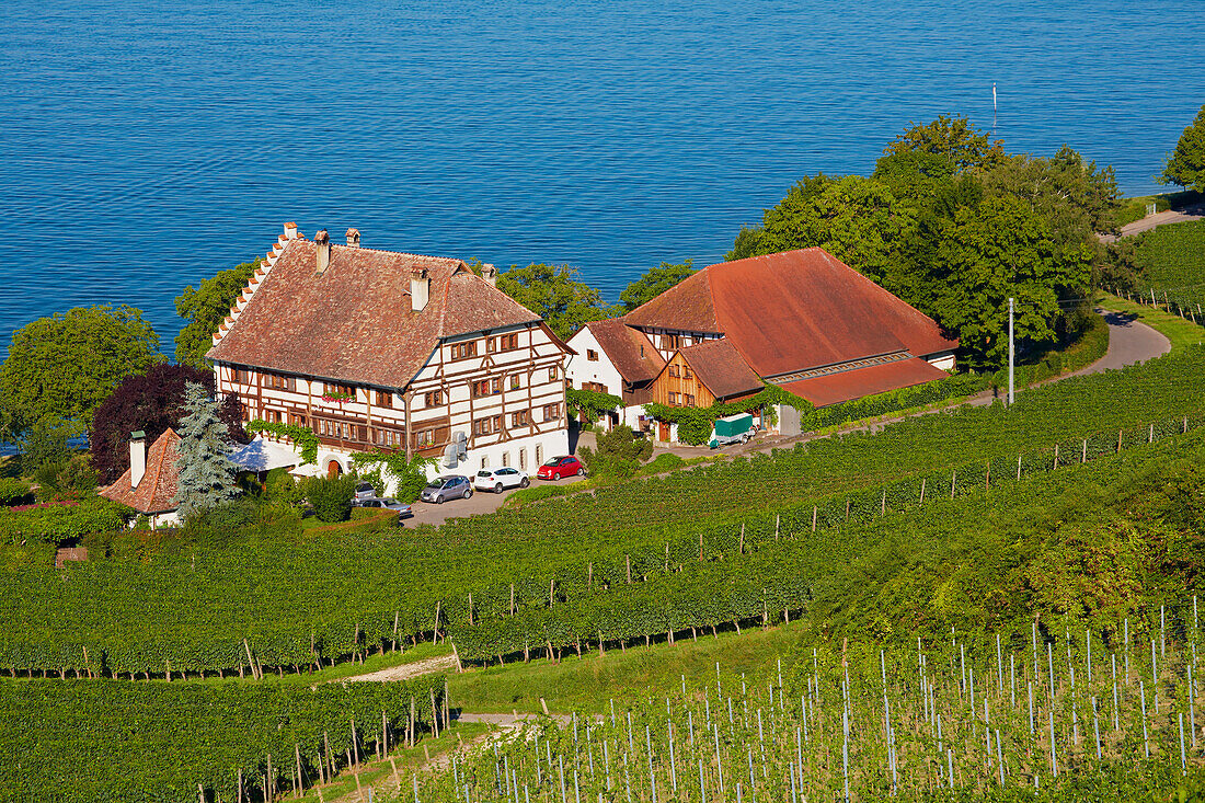 Hotel Restaurant in den Weinbergen am Ufer des Bodensees bei Meersburg, Baden-Württemberg, Deutschland, Europa