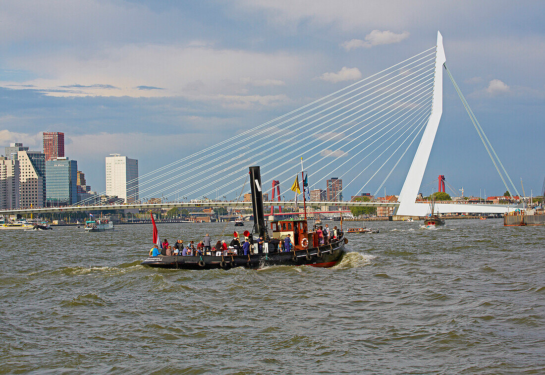 Das neue Passagierschiff Rotterdam der Holland-America Line im Hafen von Rotterdam, Erasmusbrücke, Provinz Südholland, Holland, Europa