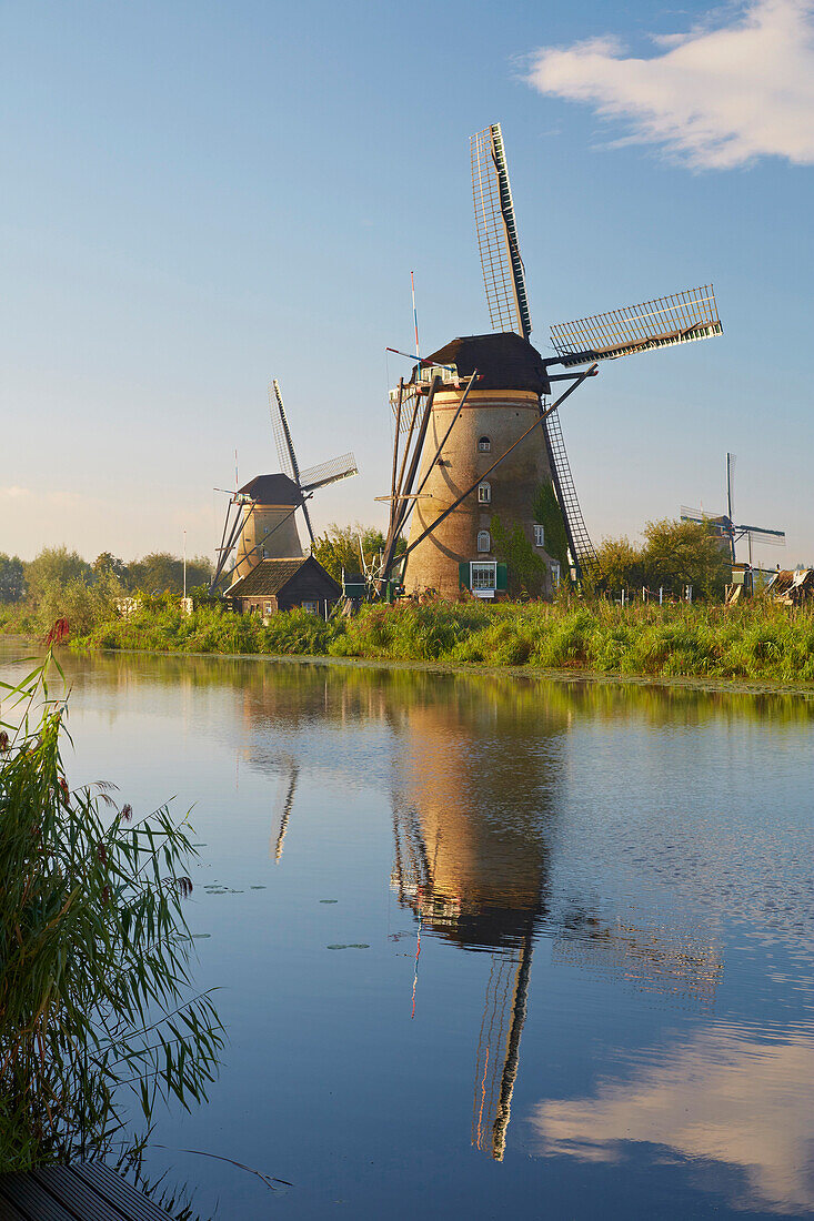 Erste Morgensonne bei den alten Windmühlen in Kinderdijk, Provinz Südholland, Holland, Europa