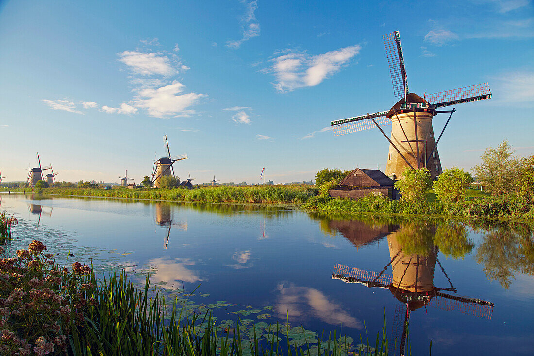 First morning sun at the old windmills at Kinderdijk, Province of Southern Netherlands, South Holland, Netherlands, Europe