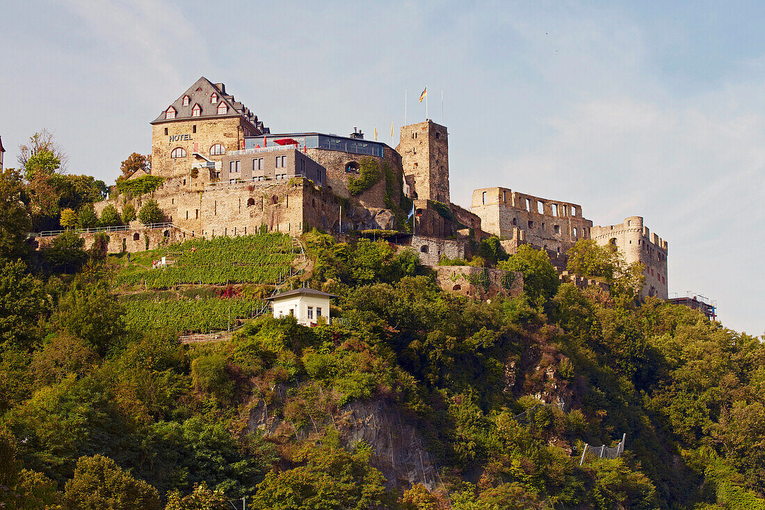 Burg Rheinfels at St. Goar, Mittelrhein, Middle Rhine, Rhineland - Palatinate, Germany, Europe