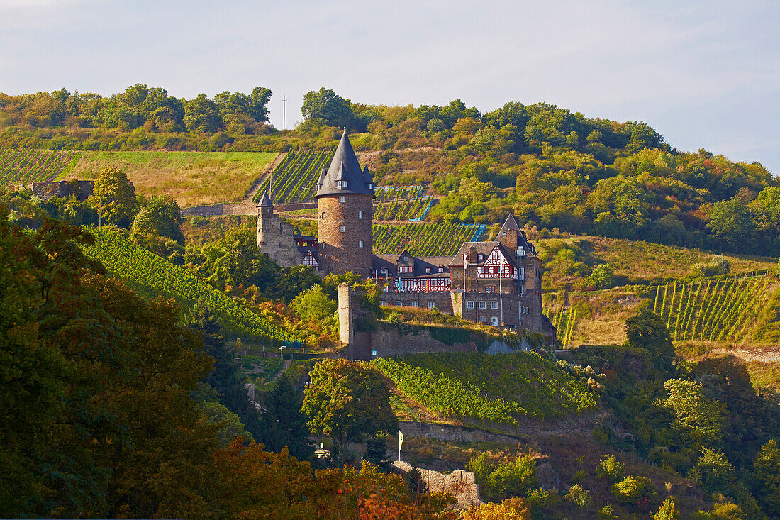 Blick auf Burg Stahleck und Weinberge, Bacharach, Mittelrhein, Rheinland-Pfalz, Deutschland, Europa