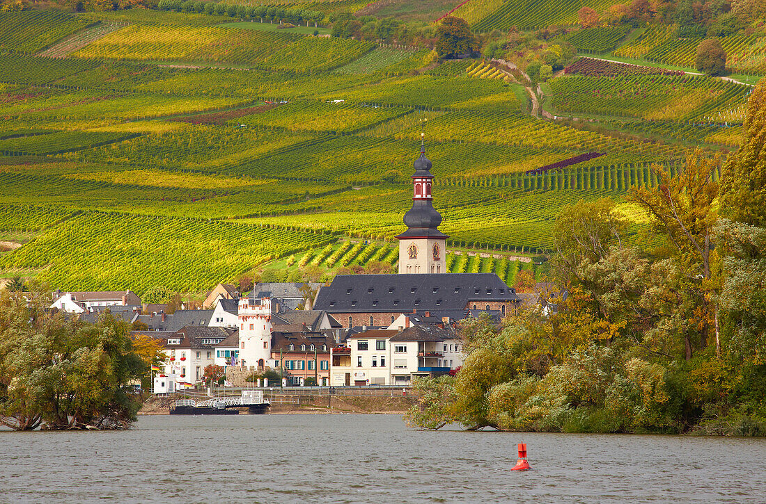 Blick über den Rhein auf Weinberge, den Adlerturm und die St. Jakobuskirche in Rüdesheim, Mittelrhein, Hessen, Deutschland, Europa