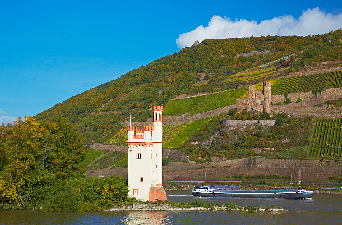 Burgruine Ehrenfels und der Mäuseturm bei Bingen, Mittelrhein, Rheinland-Pfalz, Deutschland, Europa