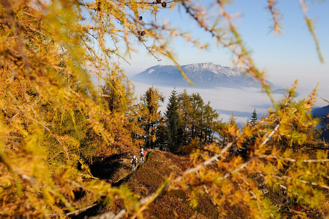 Mountainbiker auf dem Feuerpalven, Nebel über dem Königssee, Untersberg im Hintergrund, Berchtesgadener Land, Oberbayern, Bayern, Deutschland