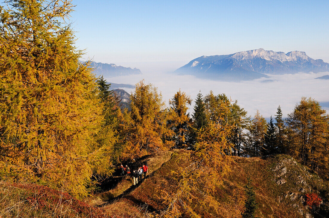 Wanderer auf dem Feuerpalven, Nebel über dem Königssee, Untersberg im Hintergrund, Berchtesgadener Land, Oberbayern, Bayern, Deutschland