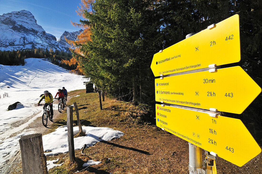 Mountainbiker fahren zur Alm Kühroint auf, Berchtesgadener Land, Oberbayern, Bayern, Deutschland