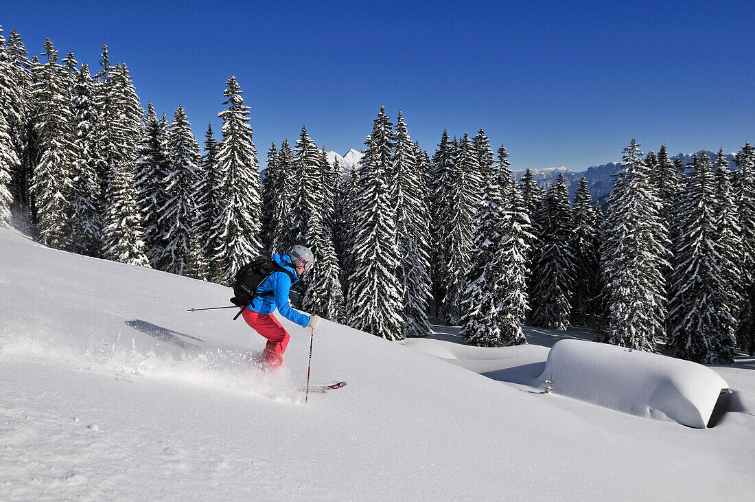 Skifahrer fährt von Steinplatte ab, Reit im Winkl, Chiemgau, Bayern, Deutschland