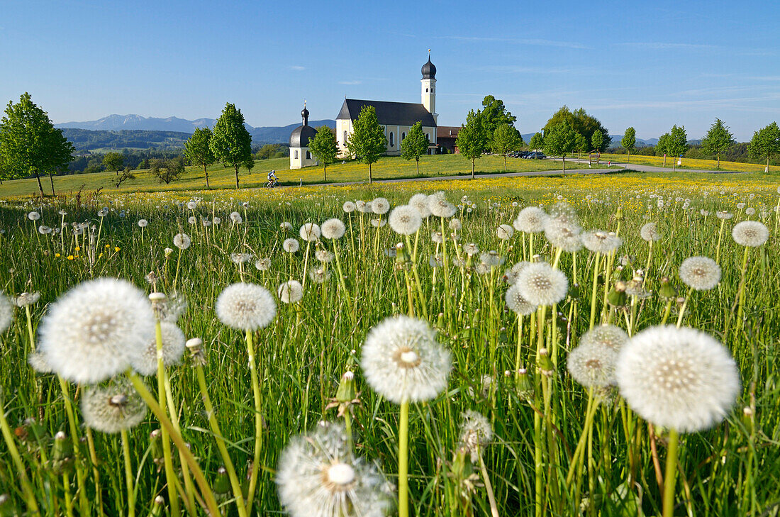 Cyclist passing, pilgrimage church Wilparting, Irschenberg, Upper Bavaria, Germany