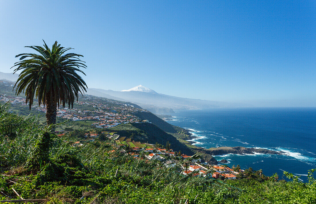 Blick von El Sauzal auf den Teide, 3718m, mit Schnee, Wahrzeichen der Insel, Palme, vulkanischer Berg, Küste, Atlantik, Teneriffa, Kanarische Inseln, Spanien, Europa