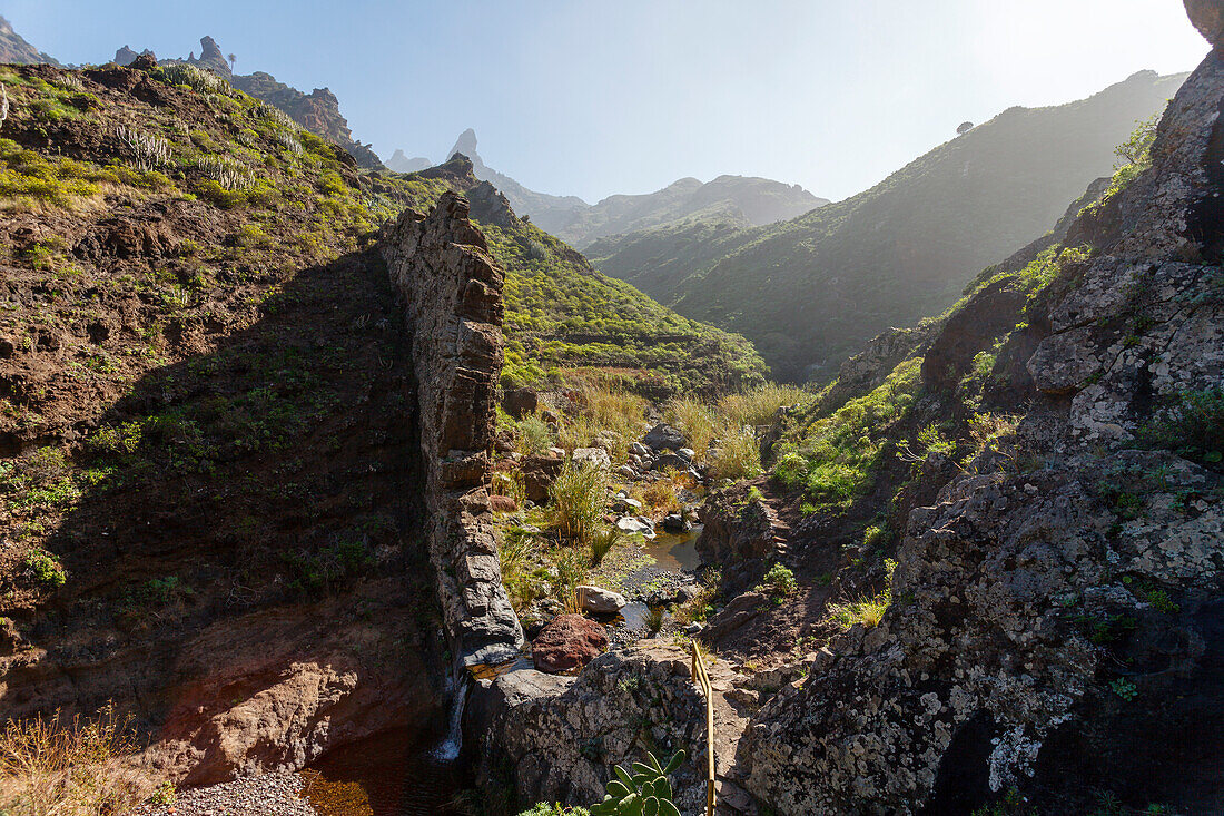 Waterfall, Barranco de Afur, canyon near Afur, Las Montanas de Anaga, natural preserve, Parque Rural de Anaga, Tenerife, Canary Islands, Spain, Europe