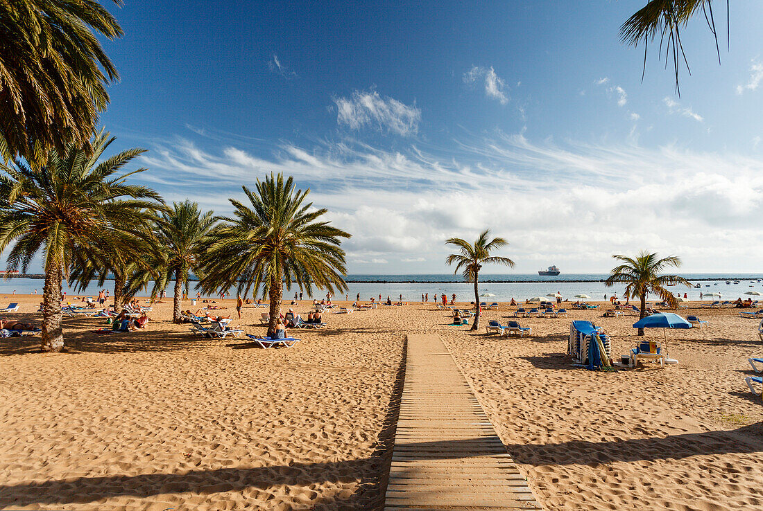 Beach with palm trees, Playa de las Teresitas, near San Andres, Las Montanas de Anaga, natural preserve, Parque Rural de Anaga, coastline, Atlantic ocean, Tenerife, Canary Islands, Spain, Europe