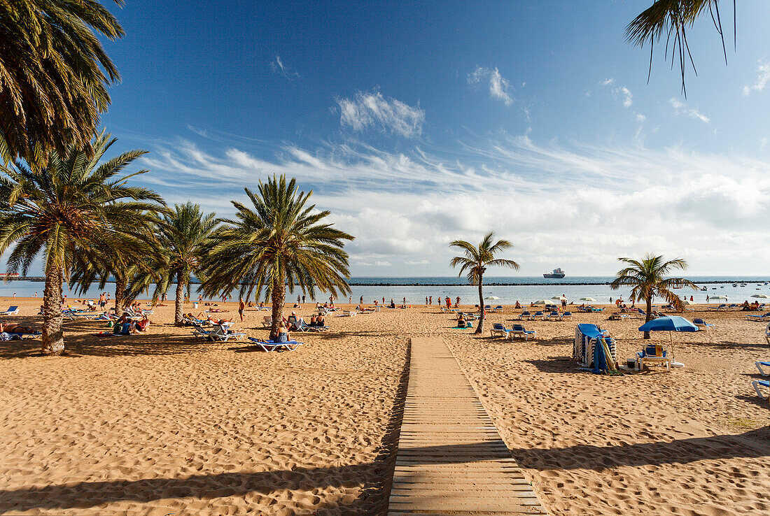 Strand mit Palmen, Playa de las Teresitas, bei San Andrés, Las Montanas de Anaga, Anaga Gebirge, Natur chutzgebiet, Parque Rural de Anaga, Küste, Atlantik, Teneriffa, Kanarische Inseln, Spanien, Europa