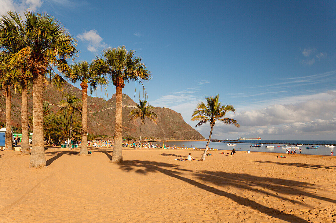 Strand mit Palmen, Playa de las Teresitas, bei San Andrés, Las Montanas de Anaga, Anaga Gebirge, Naturschutzgebiet, Parque Rural de Anaga, Küste, Atlantik, Teneriffa, Kanarische Inseln, Spanien, Europa