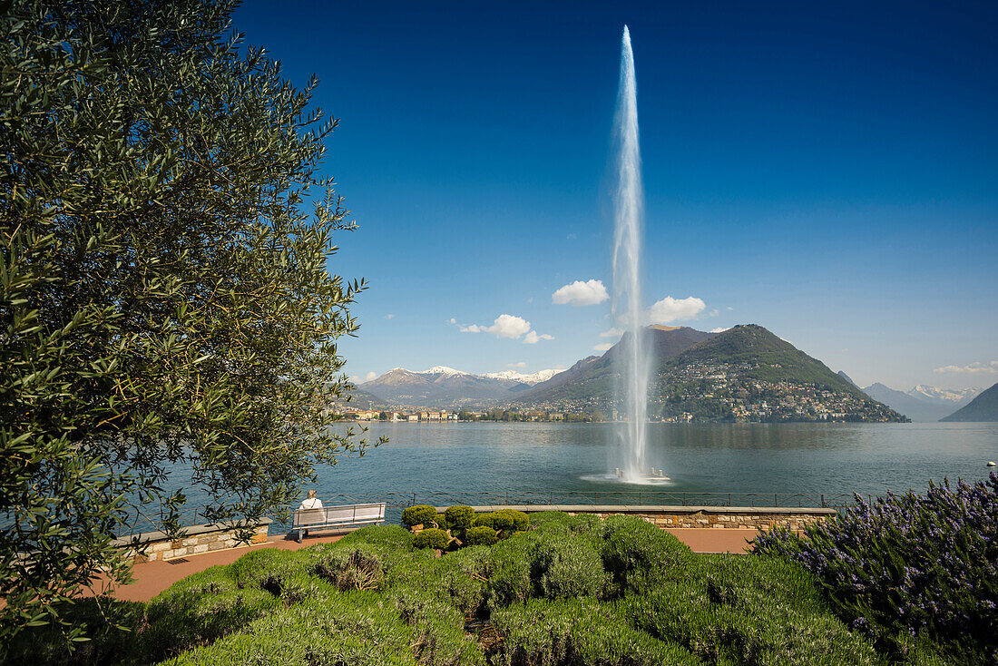 Lake shore in Paradiso, Lugano, Lake Lugano, canton of Ticino, Switzerland