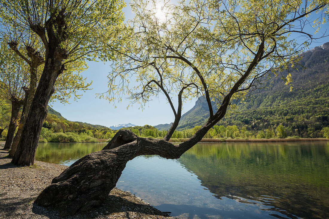 Spiegelung der Berge in einem See, Lago di Piano, bei Porlezza, Provinz Como, Lombardei, Italien