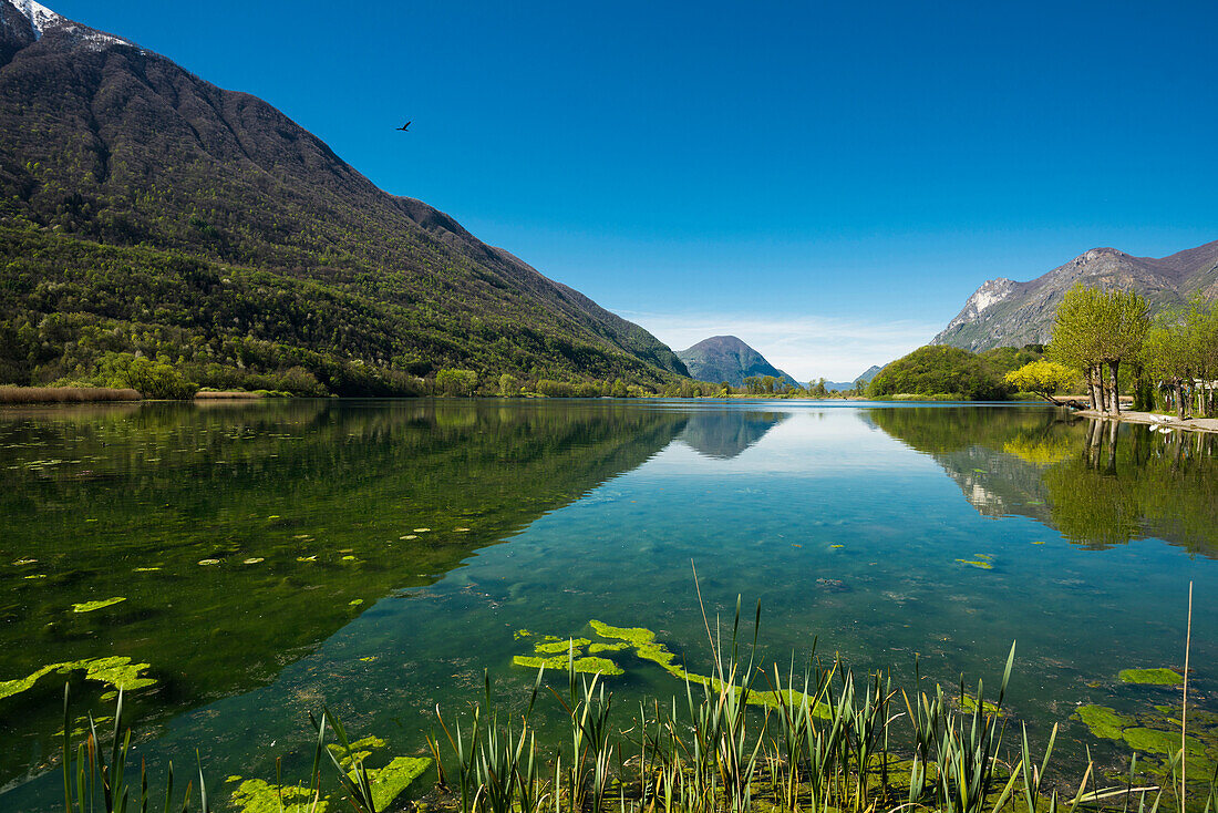 Spiegelung der Berge in einem See, Lago di Piano, bei Porlezza, Provinz Como, Lombardei, Italien