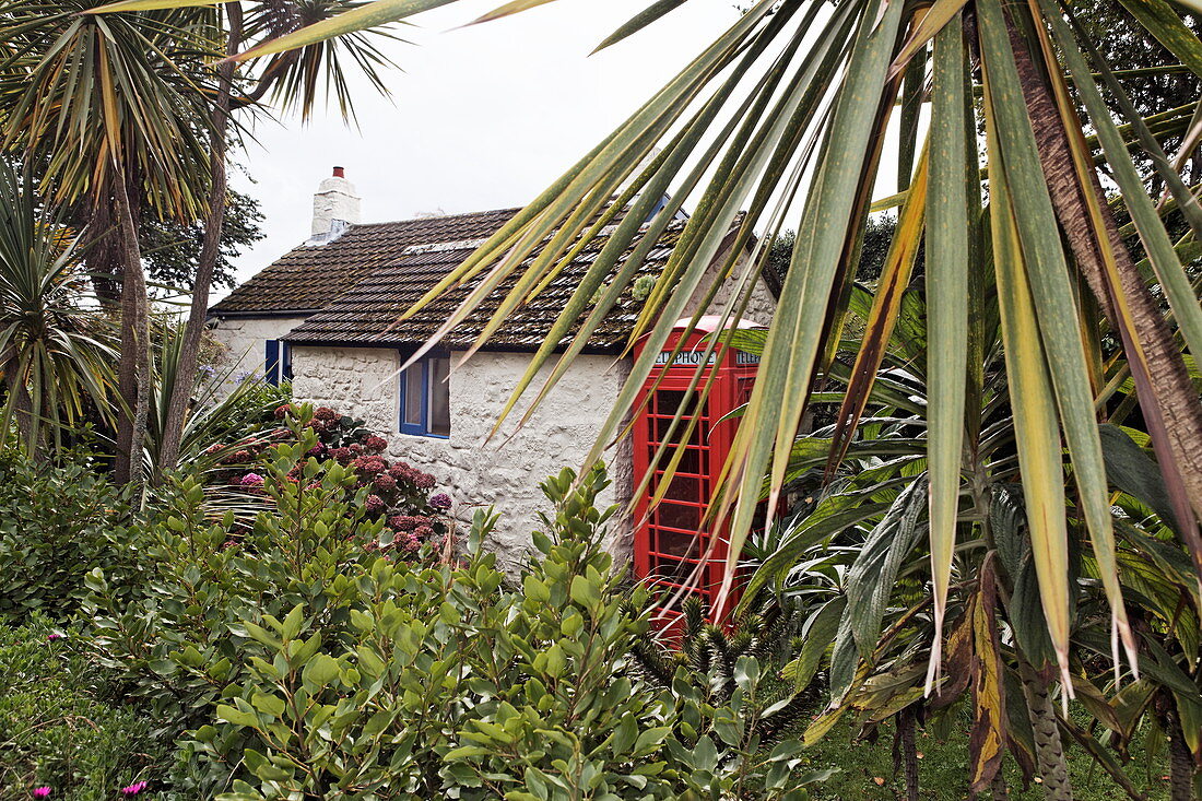 Haus im tropischen Garten, Hugh Town, St. Marys, Isles of Scilly, Cornwall, England, Grossbritannien