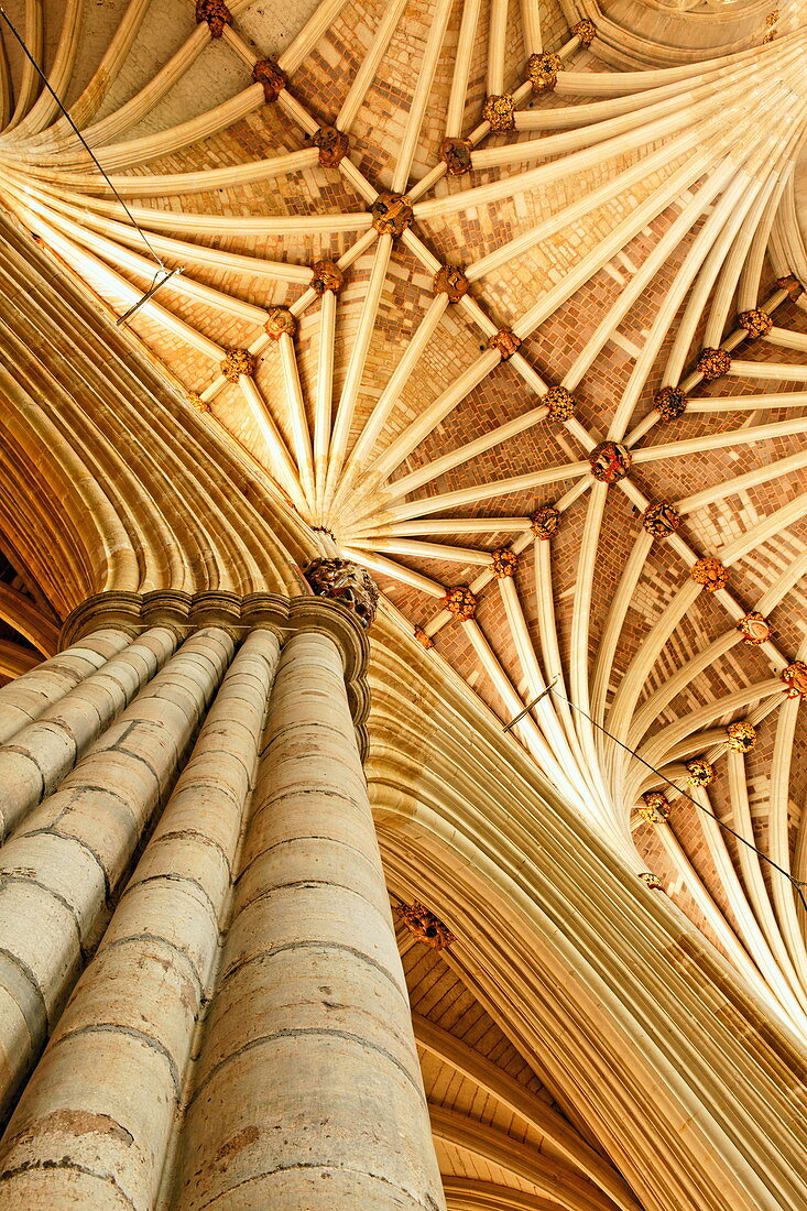 Vault ceiling of Exeter cathedral, Exeter, Devon, England, Great Britain
