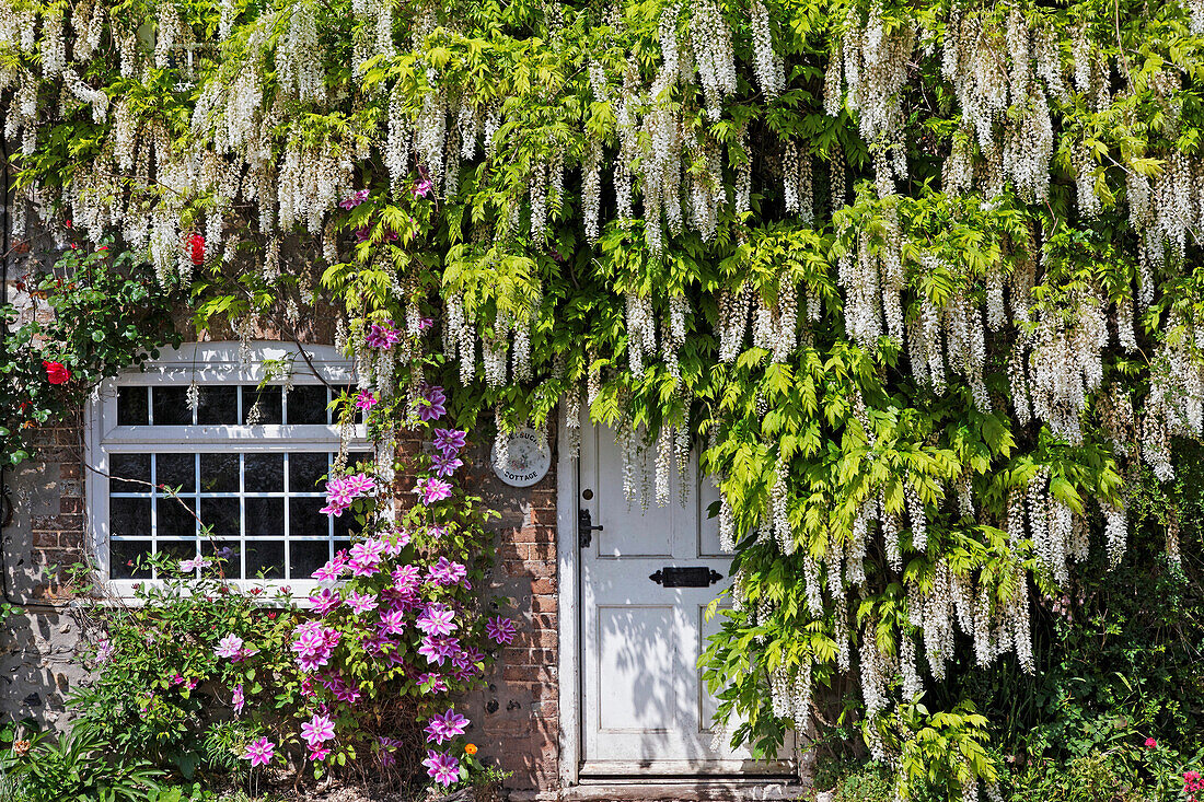 Hauseingang in Higher Charminster, Dorset, England, Grossbritannien