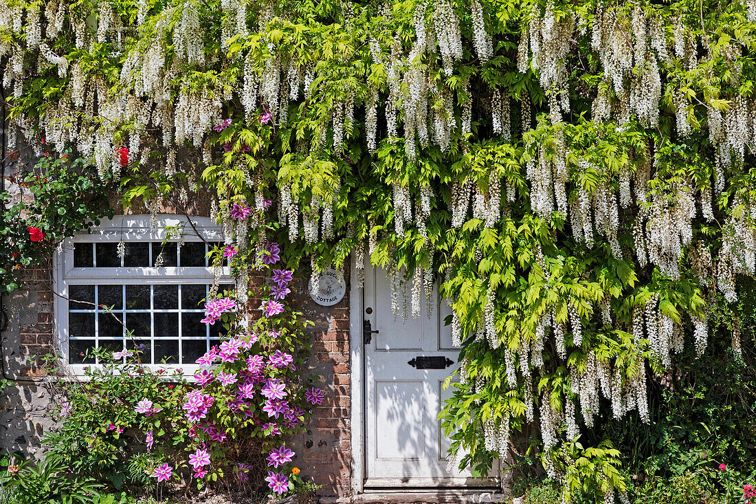 House door in Higher Charminster, Dorset, England, Great Britain