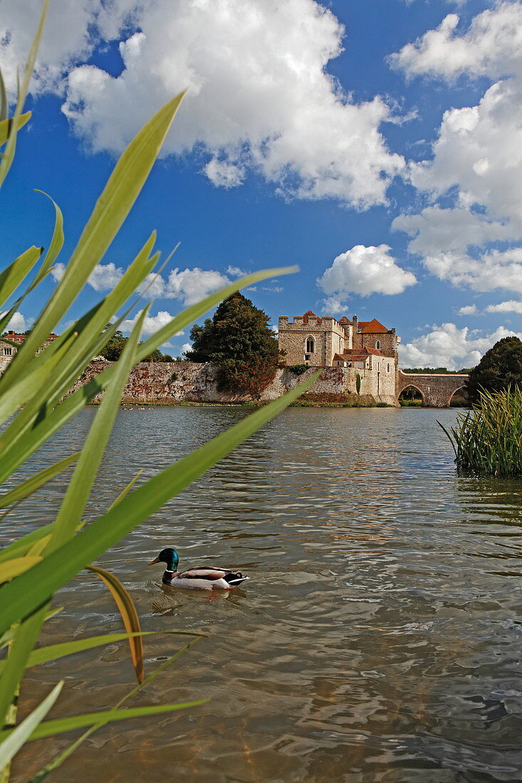 Leeds Castle, Maidstone, Kent, England, Great Britain