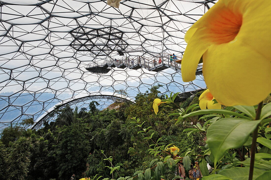 Tropical glass domes, Eden Project, St. Austell, Cornwall, England, Great Britain