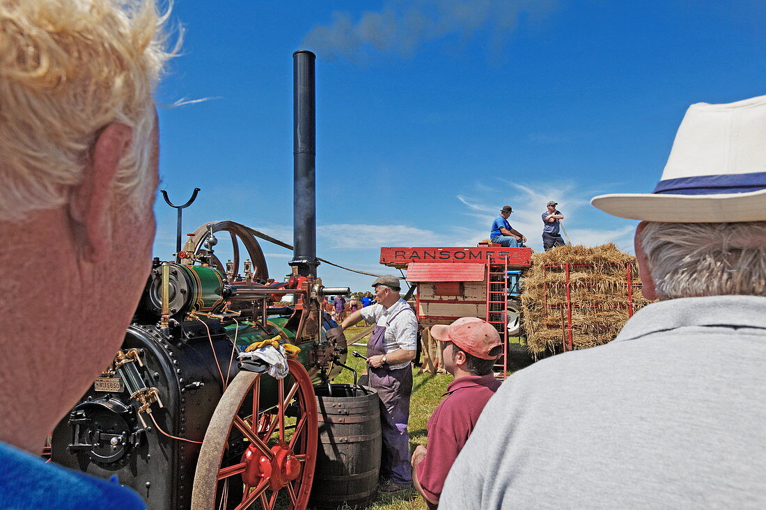 Festival in Cornwall with vintage tractors, Cornwall, England, Great Britain