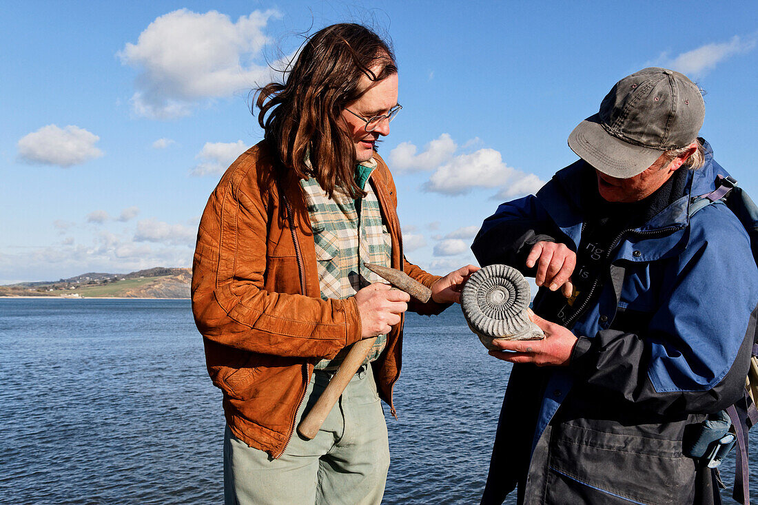 Fossile hunter with fossil, Lyme Regis, Dorset, England, Great Britain