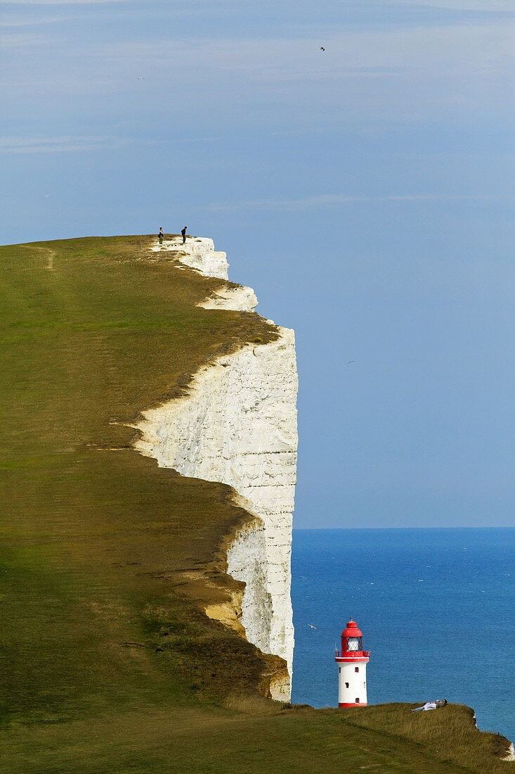 Chalk cliffs, Beachy Head, Eastbourne, East Sussex, England, Great Britain