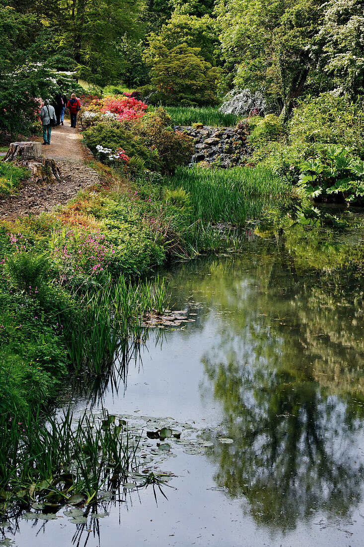 Minterne Gardens, Dorset, England, Great Britain