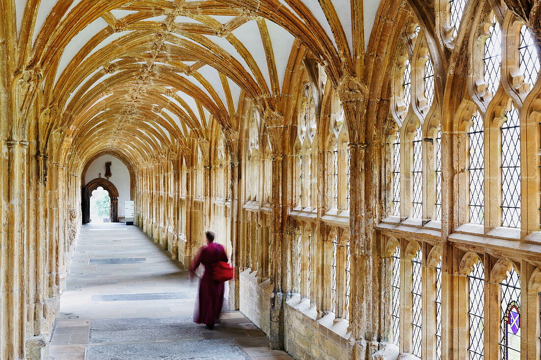 Cloister in Wells Cathedral, Wells, Somerset, England, Great Britain