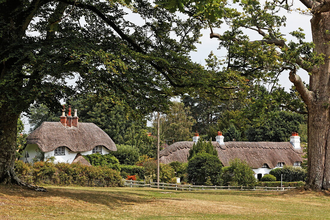 Thatched cottages, Lyndhurst, New Forest, Hampshire, England, Great Britain