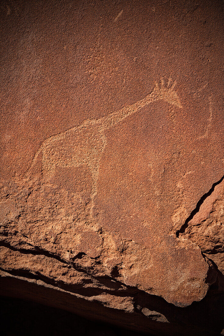 Steinzeit Gravur bzw. Malerei einer Giraffe in Fels, Twyfelfontein, Damaraland, Namibia, Afrika, UNESCO Weltkulturerbe