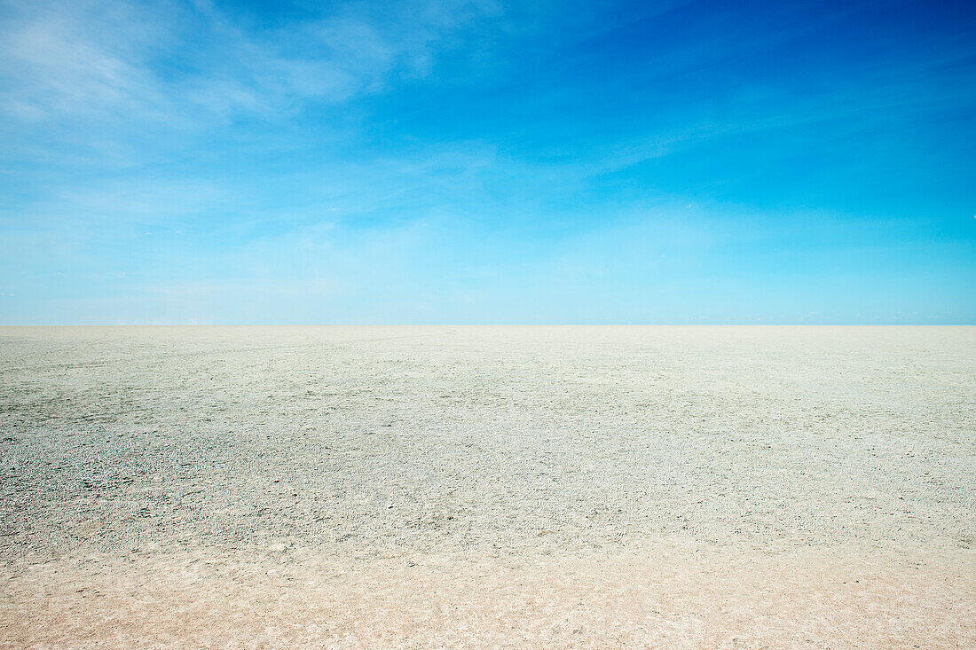karge Landschaft der Etosha Salzpfanne, Etosha National Park, Wüste, Namibia, Afrika