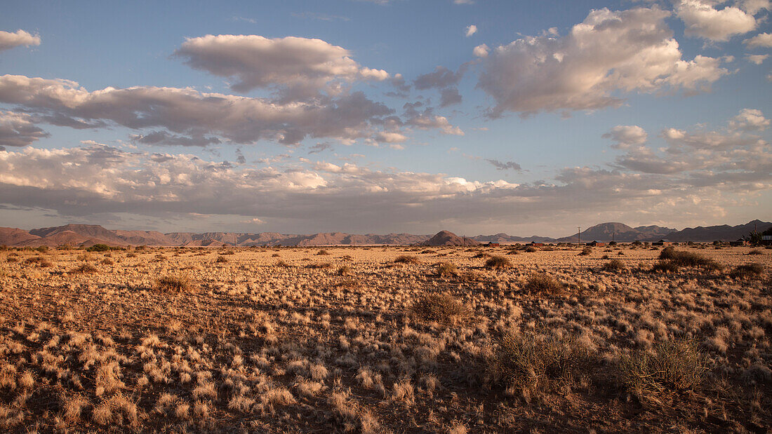 Tiras Mountains and savanna vegetation close to Sossusvlei, Namib Naukluft National Park, Namibia, Africa
