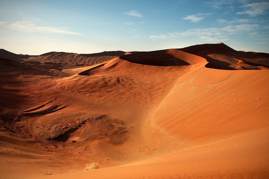 ein Meer aus roten Sand Dünen bei Sossusvlei, Namib Naukluft Park, Namibia, Namib Wüste, Afrika