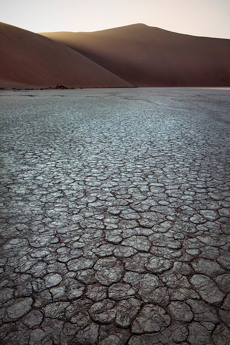 brüchige Erde im Dead Vlei, bei Sossusvlei, Namib Naukluft Park, Namibia, Namib Wüste, Afrika