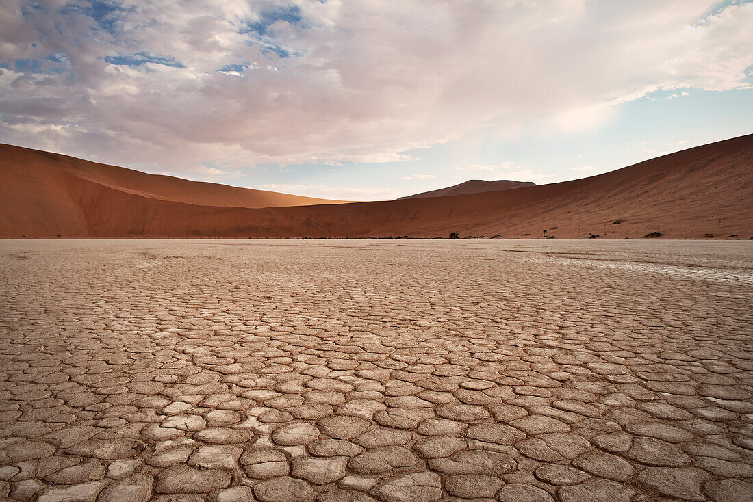 Detail of dried out soil at Dead Vlei, around Sossusvlei, Namib Naukluft National Park, Namibia, Namib desert, Africa