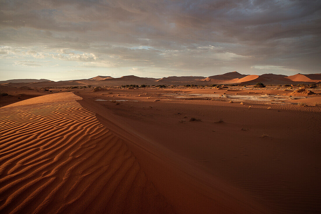 traumhafter Sonnenuntergang mit roten Sand Dünen beim Dead Vlei, bei Sossusvlei, Namib Naukluft Park, Namibia, Namib Wüste, Afrika