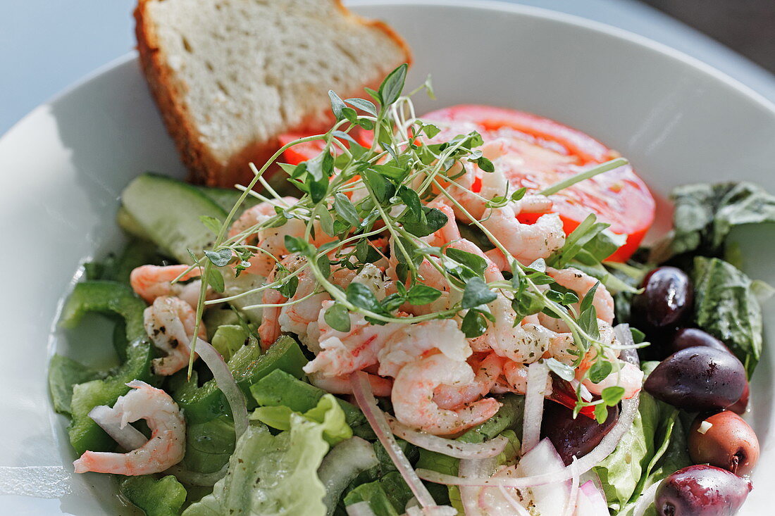 Salad with shrimps, Stockholm, Sweden