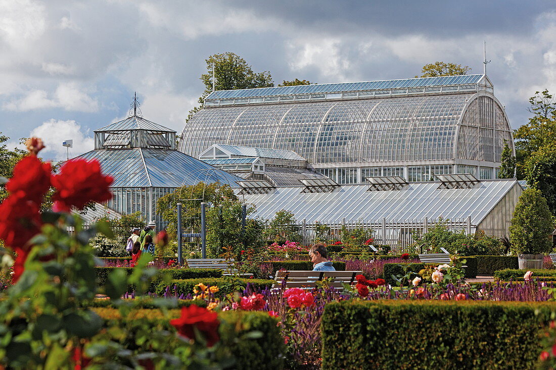 Rose garden and greenhouse at Tradgardsforeningens Park, Botanical Garden, Gothenburg, Sweden