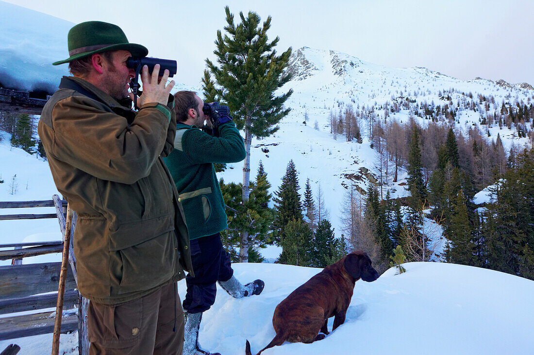 Hunters looking for deer, National Park Hohe Tauern, Carinthia, Austria, Europe